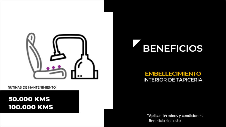 embellecimiento